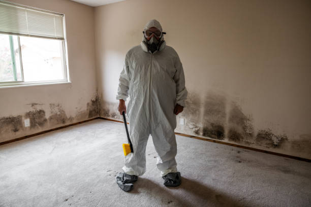 Best Biohazard Mold Removal  in Indio, CA